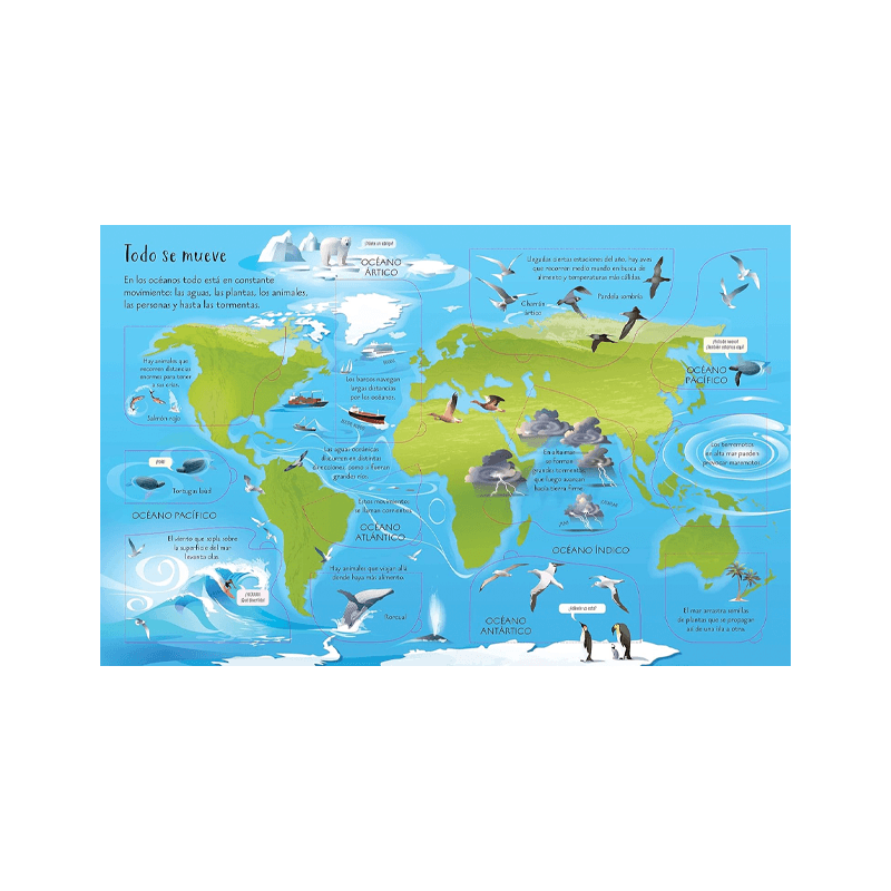 Libro Conoce Por Dentro: Los Oceanos